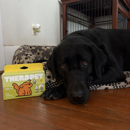 Stop Indoor Peeing And Anxiety In Dogs With This Science-Driven Solution