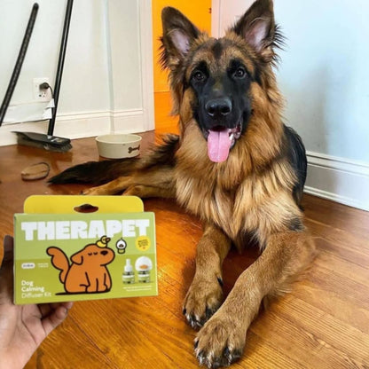 Stop Indoor Peeing And Anxiety In Dogs With This Science-Driven Solution