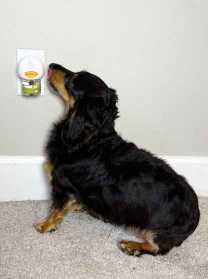 Stop Indoor Peeing And Anxiety In Dogs With This Science-Driven Solution