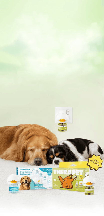 Stop Indoor Peeing And Anxiety In Dogs With This Science-Driven Solution