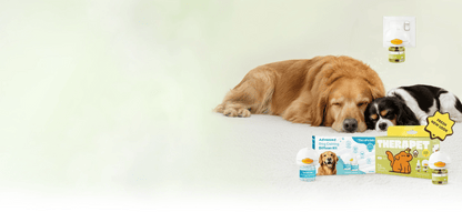 Stop Indoor Peeing And Anxiety In Dogs With This Science-Driven Solution