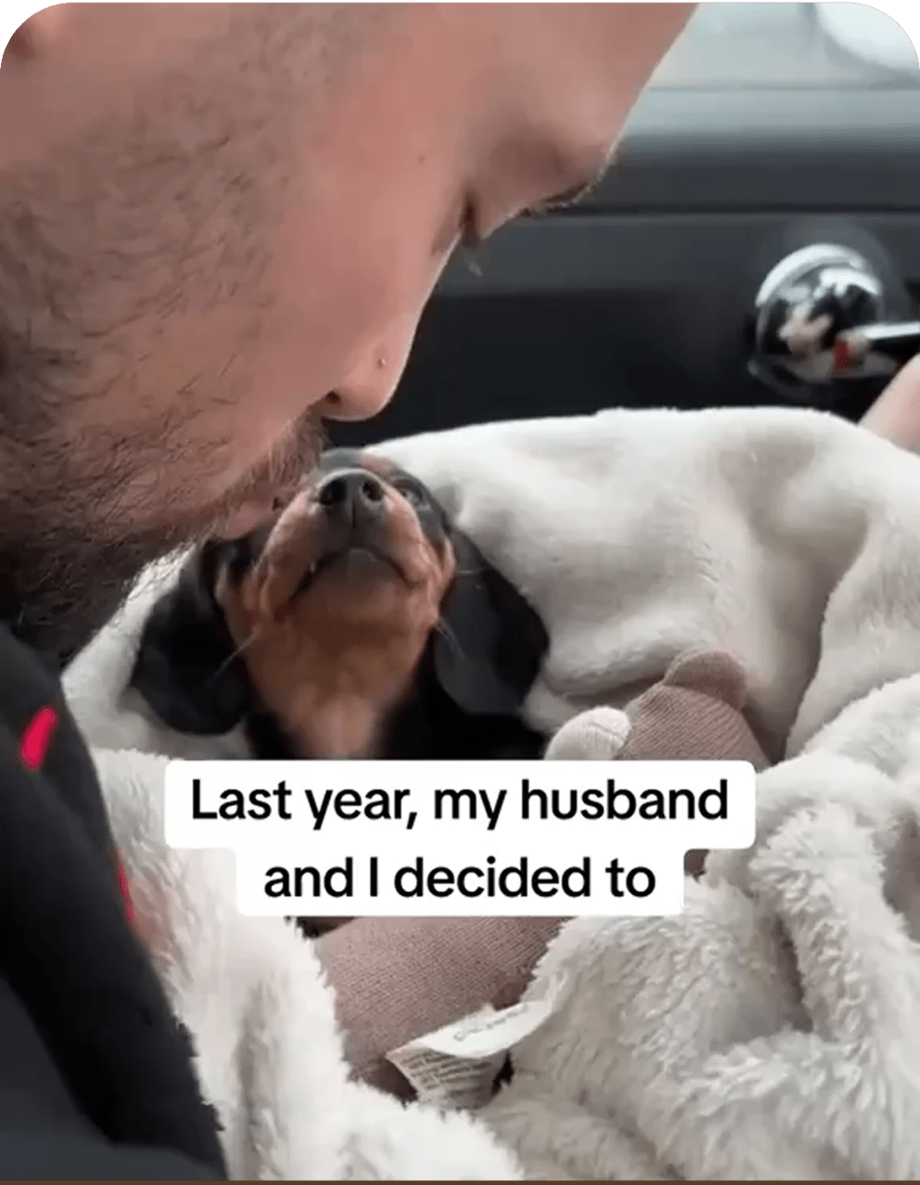 Stop Indoor Peeing And Anxiety In Dogs With This Science-Driven Solution