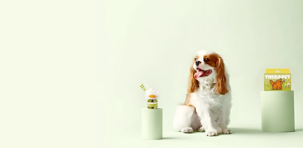 Stop Indoor Peeing And Anxiety In Dogs With This Science-Driven Solution