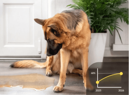 Stop Indoor Peeing And Anxiety In Dogs With This Science-Driven Solution
