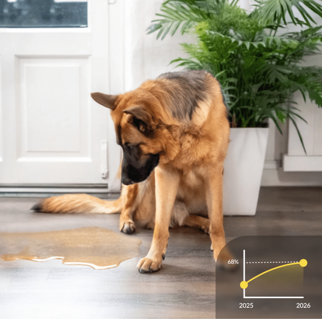 Stop Indoor Peeing And Anxiety In Dogs With This Science-Driven Solution