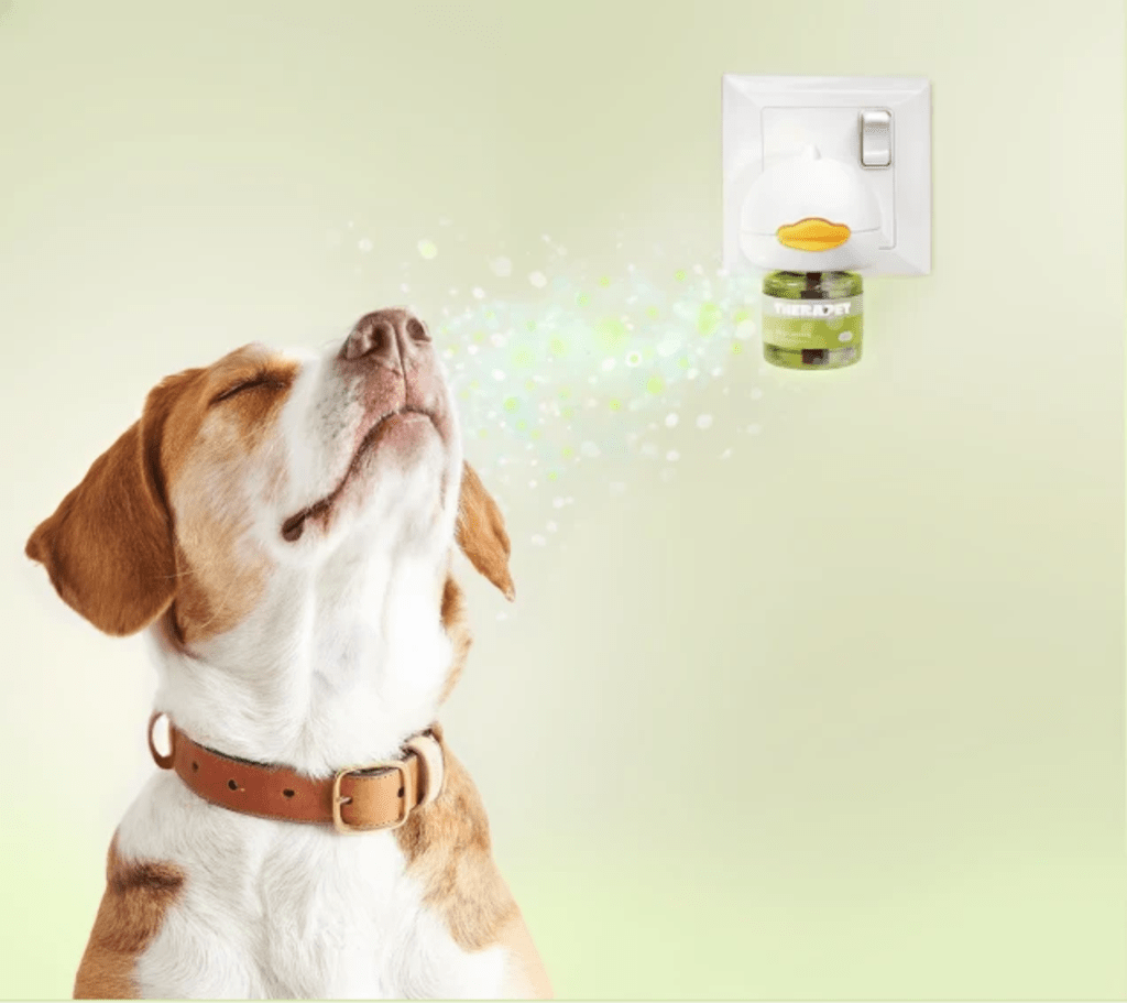 Stop Indoor Peeing And Anxiety In Dogs With This Science-Driven Solution