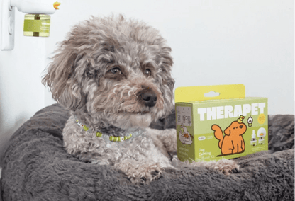 Stop Indoor Peeing And Anxiety In Dogs With This Science-Driven Solution